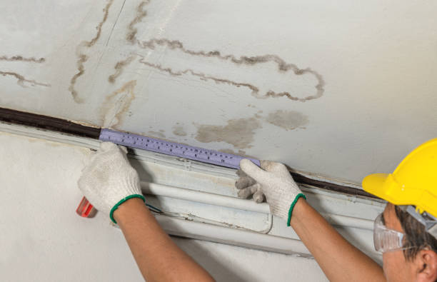 Reliable Structural Drying contractor in Franklin, MA by Water Damage Irwin